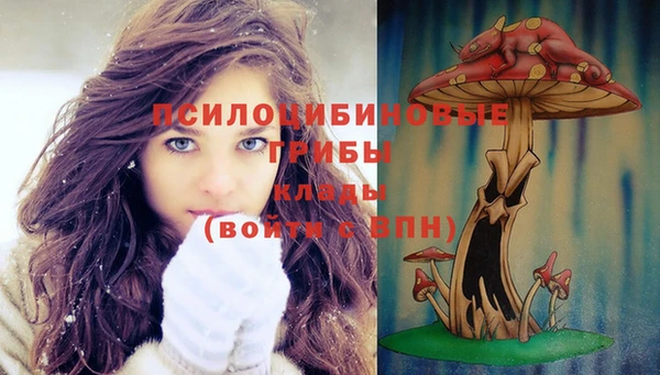 стаф Горнозаводск