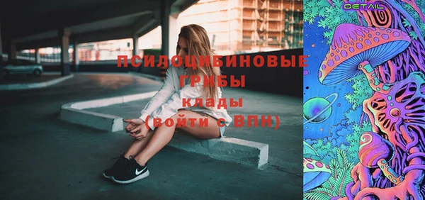 стаф Горнозаводск