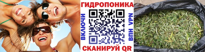Купить где  Кяхта  Каннабис VHQ 